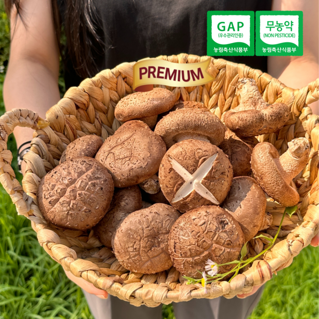 [재구매1위] 산지직송 생표고버섯 장흥 가정용 특품 국내산, 1개, 장흥 생표고버섯 2kg 가정용특품