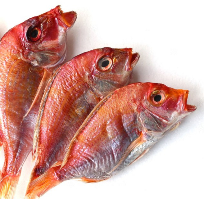 [남해안 당일조업 산지직송] 국내산 반건조 제수용 도미 꽃돔 700g 1.4kg, 1개, 반건조 제수용 도미 꽃돔 700g 4-8미