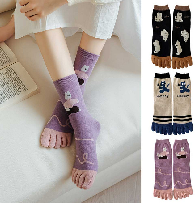 에이블탑 여성 발가락양말 귀여운 면 패션양말 3종 n347