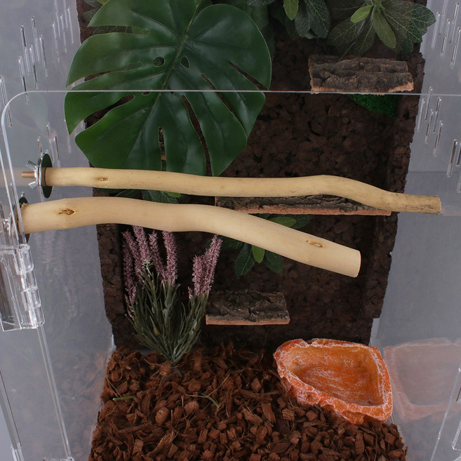 도마뱀 사육장 나무 백업 도마뱀백업, 1개, 25cm