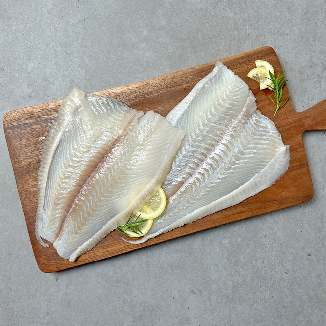 [당일작업] 제주 대광어 숙성 필렛 550g, 1개