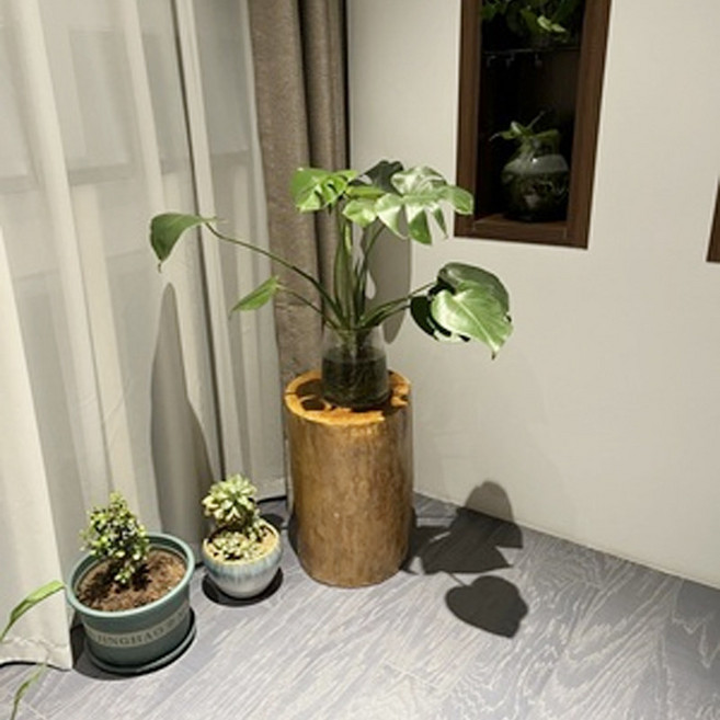 통나무 의자 인테리어 통원목 벤치, 1개, 높이 50cm 20-24cm