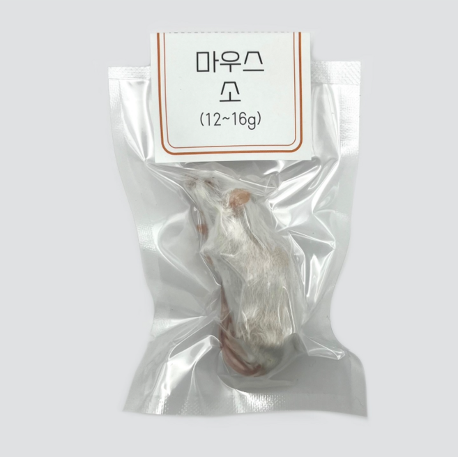 <쥐선생>냉동마우스 1마리 단품 [소] 12~16g(진공포장), 1개, 14g