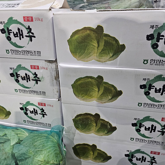 클릭마켓 국내산 양배추, 1박스, 6kg