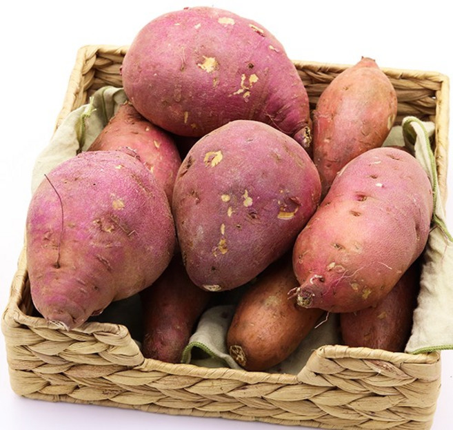 호박고구마 햇 고구마 1kg [원산지:국산], 1개