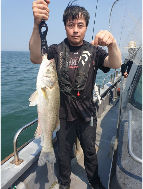 수퍼맨외수질채비 어초채비 우럭채비 농어채비 민어채비 꼬임없는채비, 10, 1개, 1개입