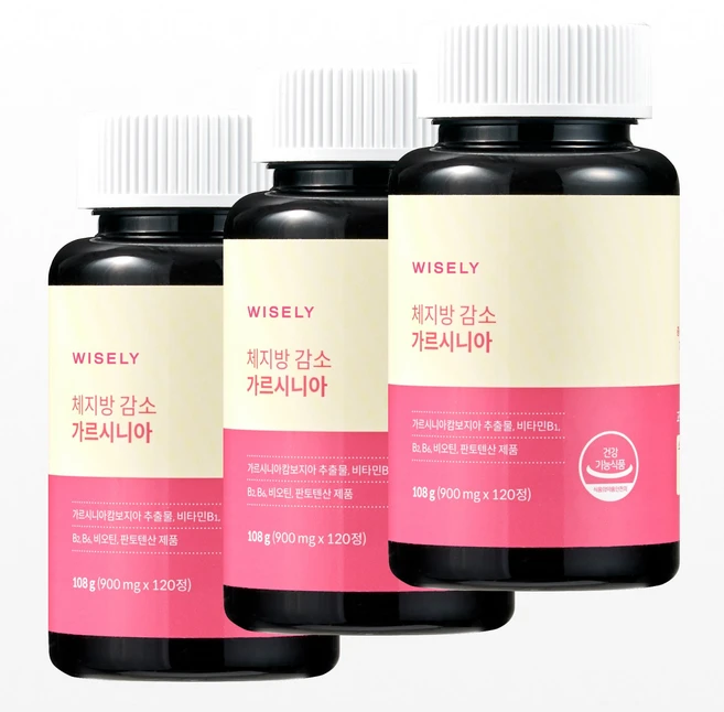 와이즐리 체지방 감소 다이어트 가르시니아, 120정, 3개 - 쿠팡