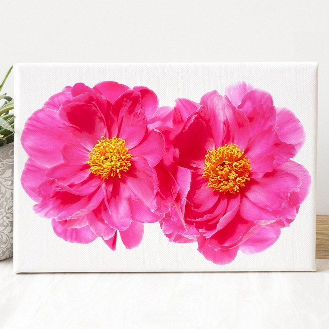 [인메이블] 모란 목단 꽃 식물 민화 한국화 그림 28종 캔버스 액자 거실 인테리어 소품 패브릭 포스터, 18.[I]PE-쌍둥이모란, 6호 [27.3x40.9cm]