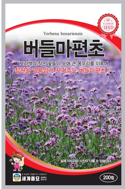 버들마편초 씨앗 200립 일반종 종자 모종 야생화 화단꽃 정원꽃, 1개