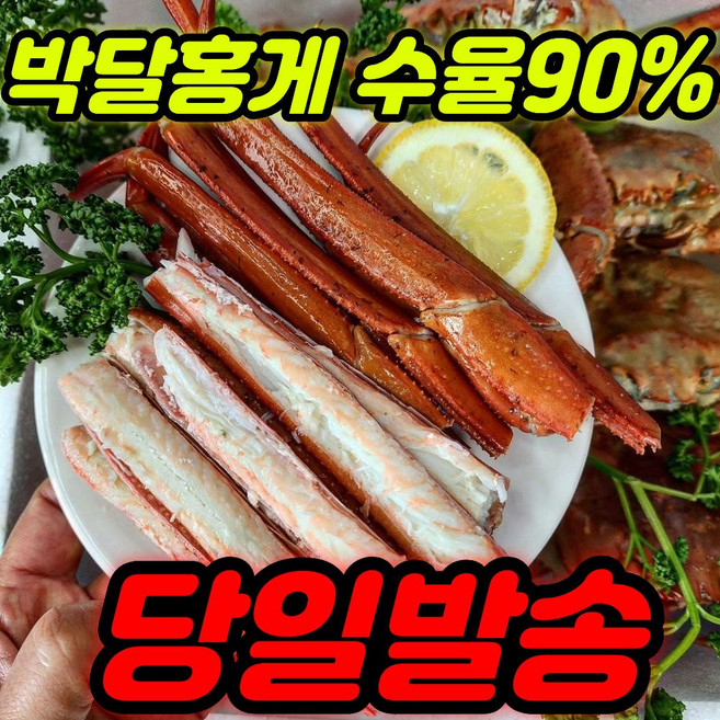 [새벽조업] 국내산 제철 생물 홍게, 1개, [주문폭주] 1kg 생물 홍게 3마리