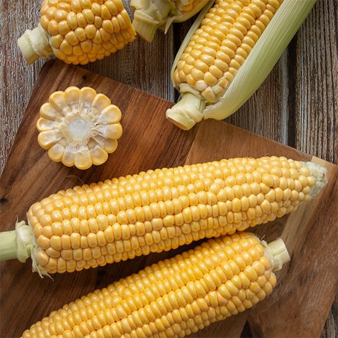 냉동 초당옥수수 10개입 특, 10개