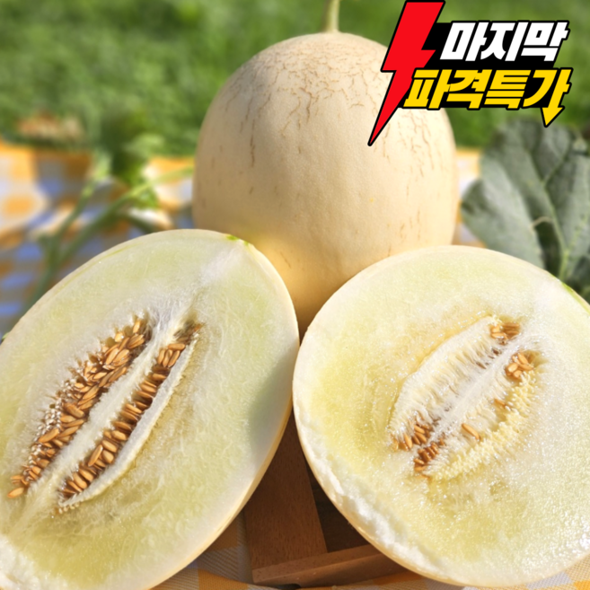 [마지막 특가판매] 초고당도 메론 멜론 천안 수신메론 금산수신멜론 홈런스타, 1박스, 8kg(4수~6수)
