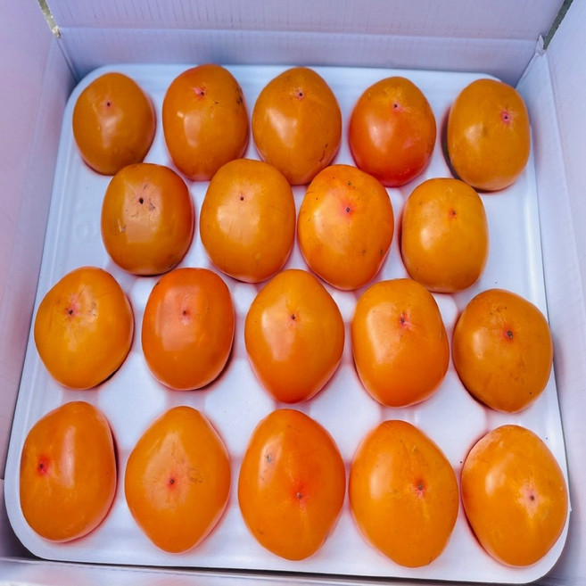 4위 - 청도 반시 꿀 촉촉 홍시 씨없는 감 연시, 1박스, 꼬마(24-26과) 2.5kg