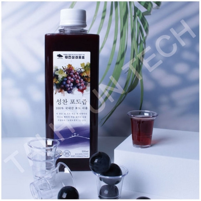 성찬포도즙 2병입 /태현테크, 500ml