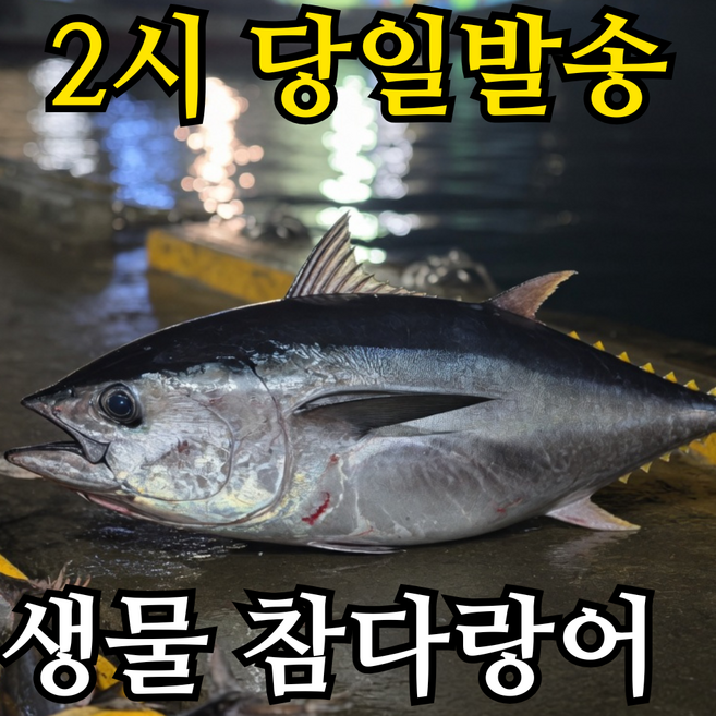 당일바리 생물 참다랑어 급냉 참다랑어, 1개, 생물 참다랑어 2미(1미 2.5~3kg내외)