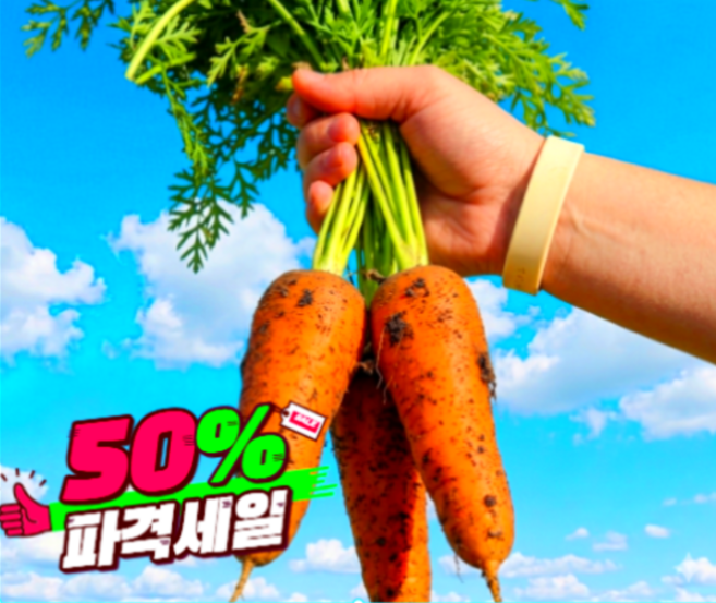 [최저가도전] 백화점납품 산지직송 제주구좌당근 흙당근, 1박스, 5kg(왕)