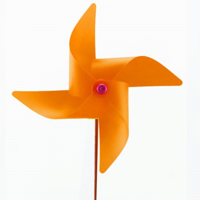 태극기 어린이집 무지개 유치원, 50개