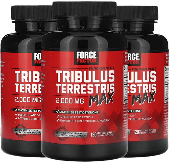 포스팩터 펀더멘탈 트리블러스 테러스트리스 맥스 2 000mg 베지 캡슐 120 정(캡슐 1정당 500mg), 3팩, 120캡슐, 120정