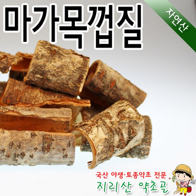 100%국내산 자연산 마가목나무껍질 500g 정공피 효능 효과 말린 건조 야생, 1개