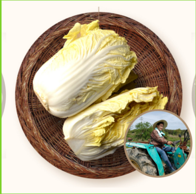 절임배추20KG 절인배추 황금배추 삼봉농산, 3, 1박스, 40kg