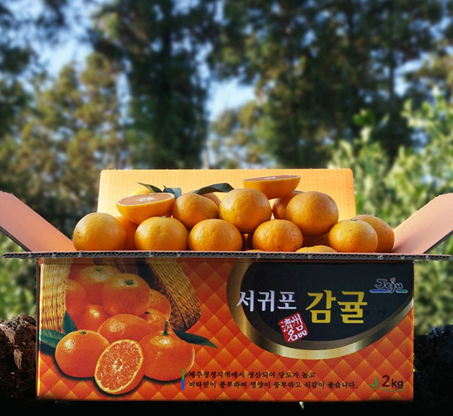 귤담원 제주 제철 감귤, 21.감귤 2kg 소과(2S), 1박스