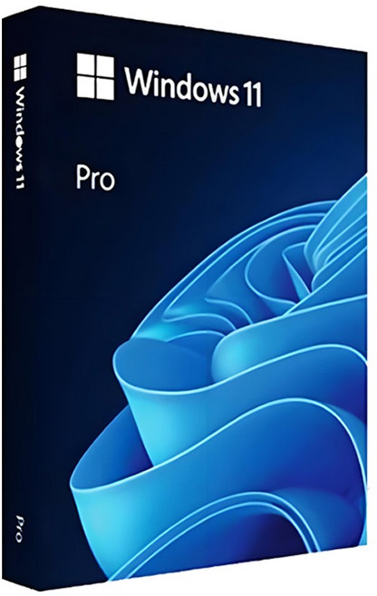 [마이크로소프트] Windows 11 Pro FPP 한글(USB), HAV-00211