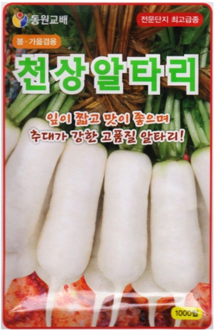 영농사 천상 알타리씨앗 1000립 잎이짧은 총각무씨, 2개