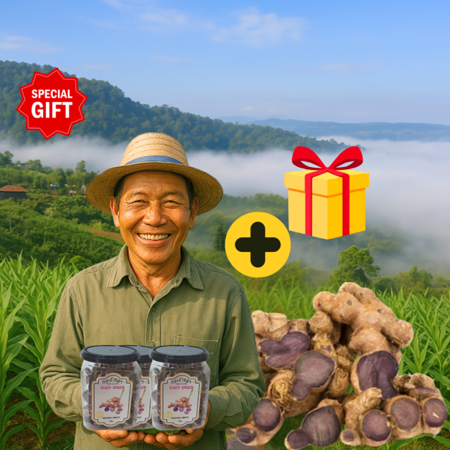 태극흑생강 끄라차이담 검은생강 블랙진저 말린흑생강 자색생강 파비플로라, 1박스, 200mg