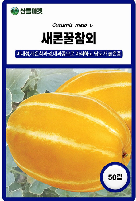 다농 새론꿀참외 씨앗 50립 고당도 참외씨 종자, 1개