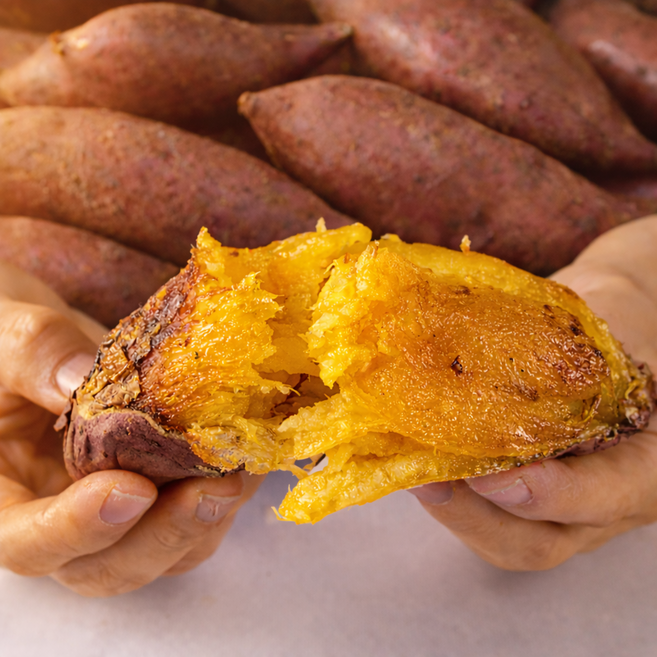 [마진없음 초특가] 무안 꿀서린 촉촉 세척 햇 호박 고구마 10KG (특상크기), 1박스