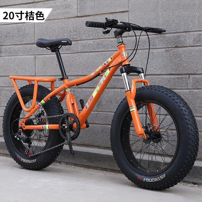 BENSHI 成人胖胎變速自行車, 20寸橙色,24寸7速, 1個