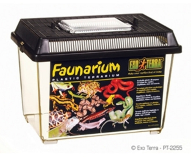 엑소테라 파충류 채집통 중사이즈 PT2255, 1개