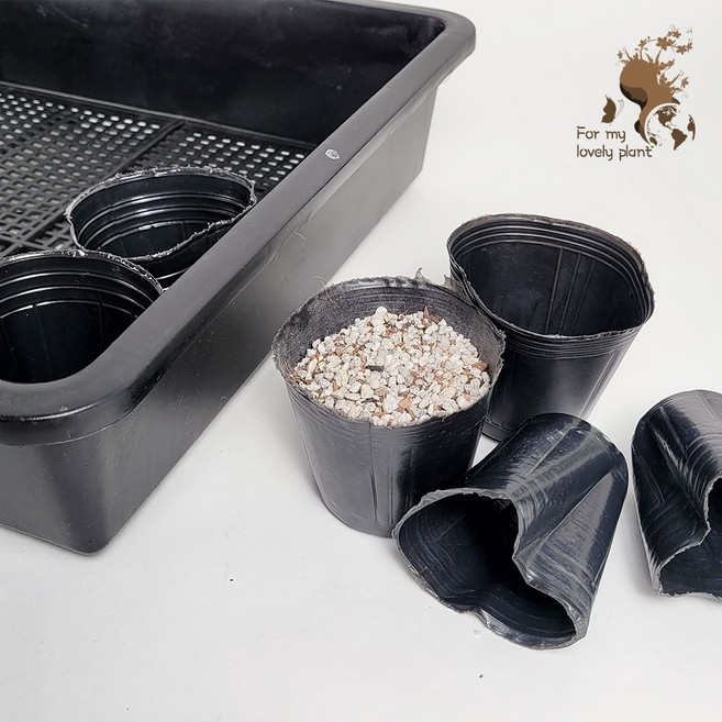 삽목용 비닐포트 소 중 대 3개 묶음 반려식물 제라늄 파종 삽목, 중 3개, 1개