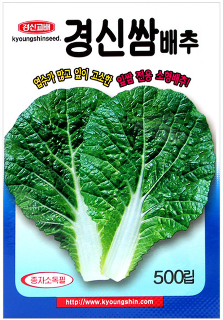 세인화분 경신 쌈배추 500립 - 씨 씨앗 배추씨 배추씨앗 쌈배추씨 채소 야채, 1개