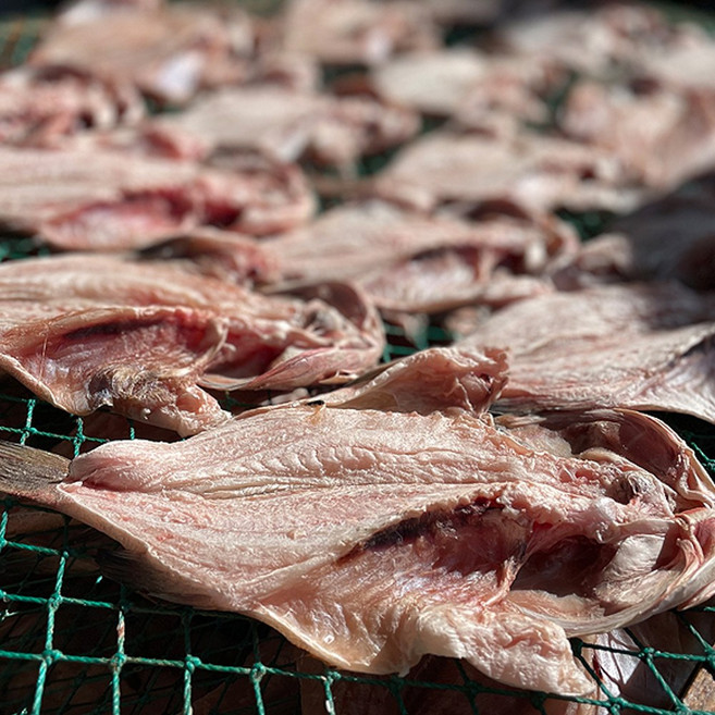 반건조능성어 손질 홍우럭 다금바리 구이용생선 반찬 반건조생선, 1세트, 900g(6미)