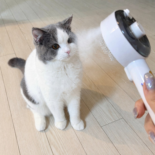 MAAH 강아지 스팀 미스트 살균 브러쉬 고양이 원터치빗, 1개, 화이트