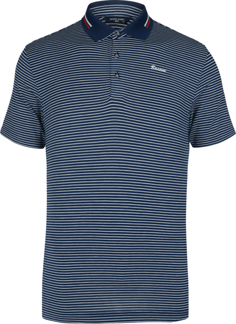 아날도바시니 골프 남성 카라포인트 반팔 카라티셔츠