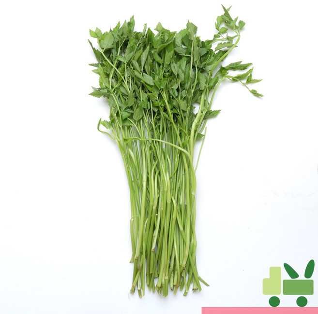 사라상회 돌미나리 4kg, 1박스