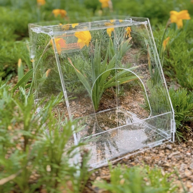 세젤예 토끼 아크릴 건초랙 D.I.Y set 토끼 헤이피더 기니피그 건초통, 1개