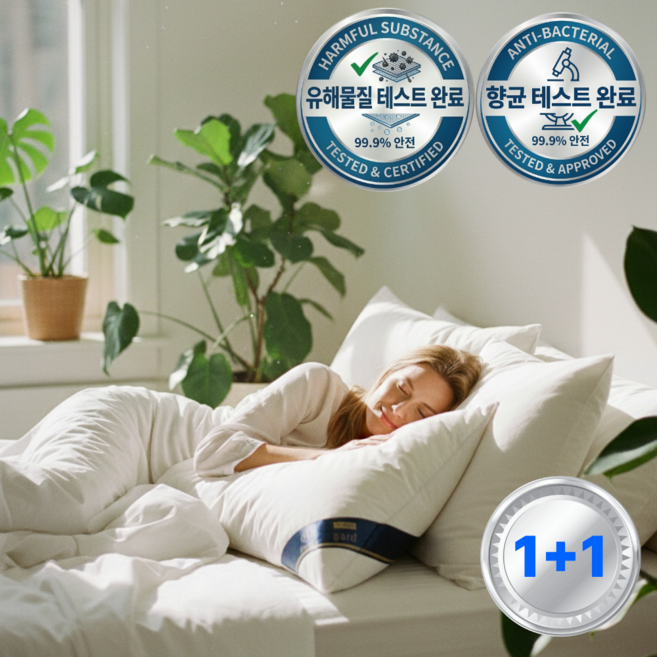 RAOM 5성급 호텔 베개 프리미엄 숙면베개, 2개, 화이트