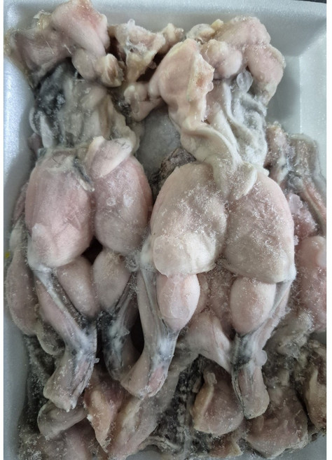 (한마음 미트) 영양만점 탈피 냉동 식용 개구리 베트남산 FROZEN WHOLE CLEANED FROG, 1박스, 9KG