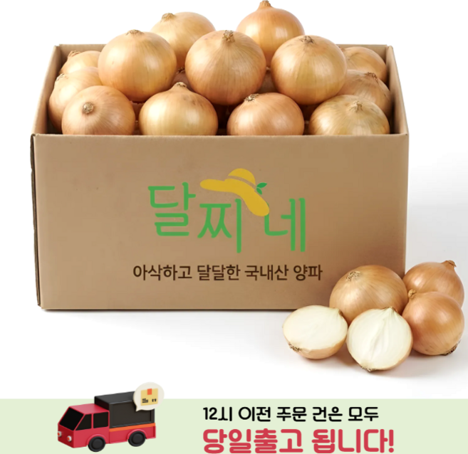[타임특가] 달찌네 국내산 특품 햇 양파, 1개, 3kg