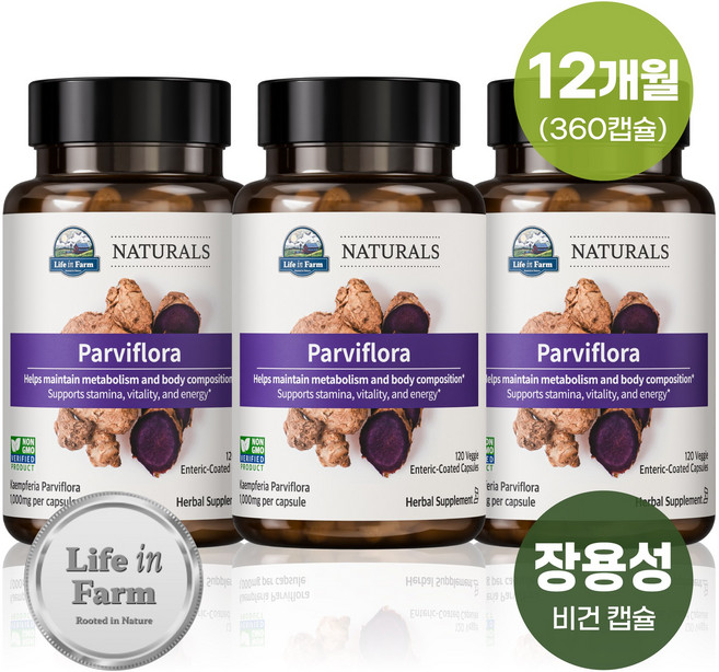 라이프인팜 파비플로라 흑생강 1000mg 장용성 360비건캡슐 12개월분 추출물, 3개, 120캡슐