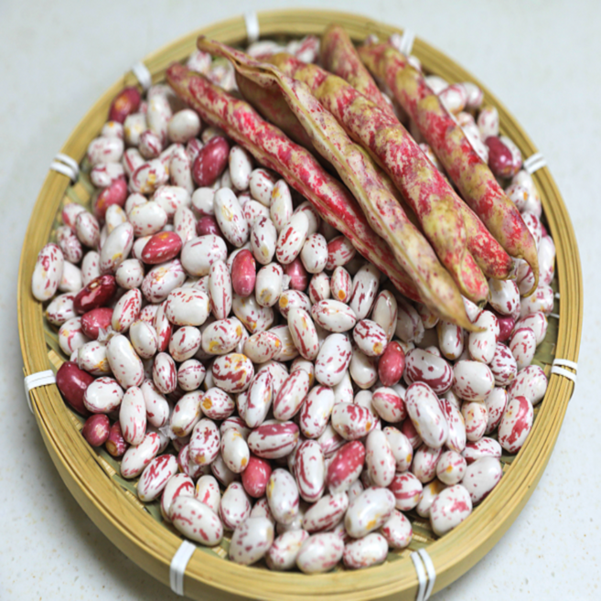 호랑이콩 유기농 줄콩 강원도 깐 얼룩 강낭콩, 2개, 400g