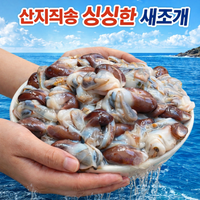 100%자연산 당일채취 여수 손질 생물새조개, 1박스, 1kg(특A급)