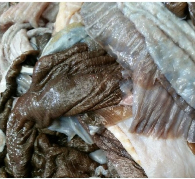 홍어껍질 (콜라겐식품) 1kg 홍어요리 홍어껍질요리 홍어껍질효능, 홍어껍질(콜라겐식품)1kg, 1개