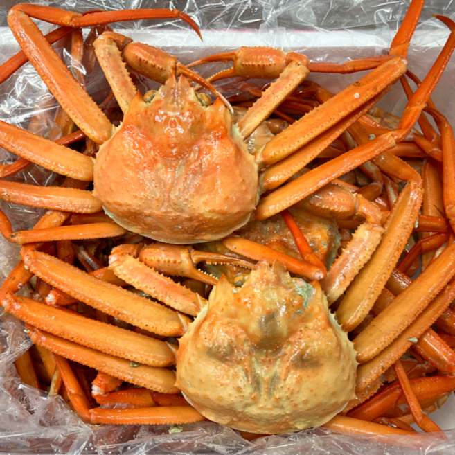 수율보장 박달홍게 자숙 홍게, 1개, A급 3kg (9~12미) 수율90%