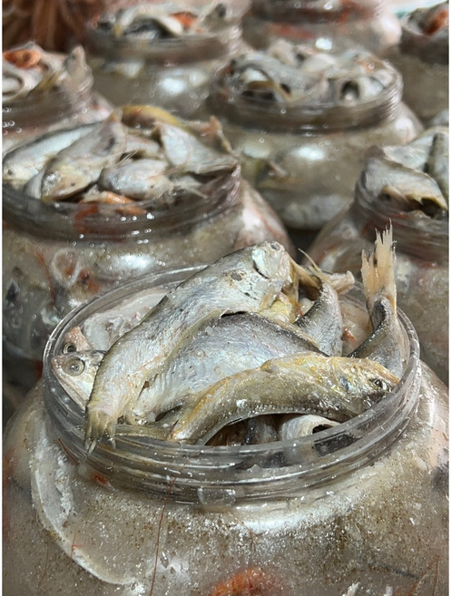 청정지역 목포신안군 승리호 젓갈 잡젓 5kg, 2024년 잡젓 (5kg), 1개