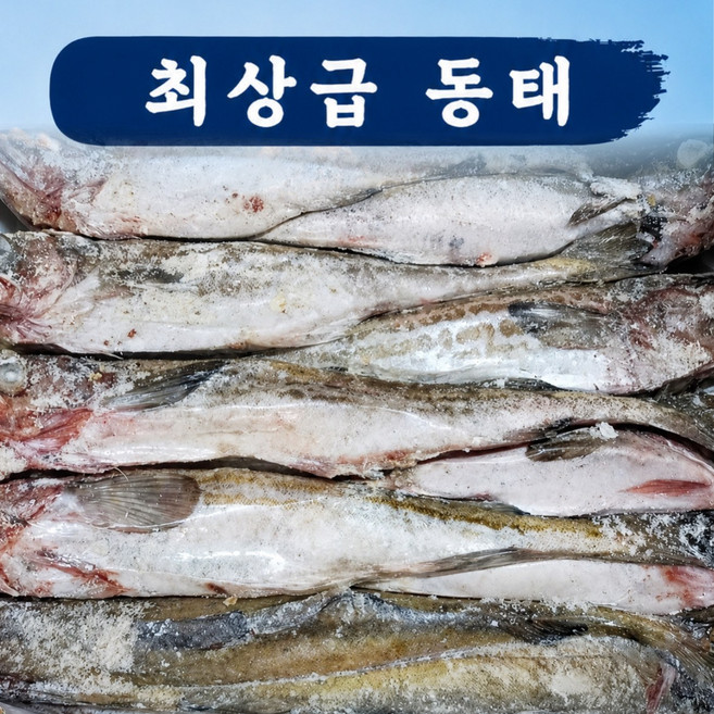 서진수산 신선도 최상 동태 5통 4마리(원물 4.5kg내외), 4.5kg, 1개