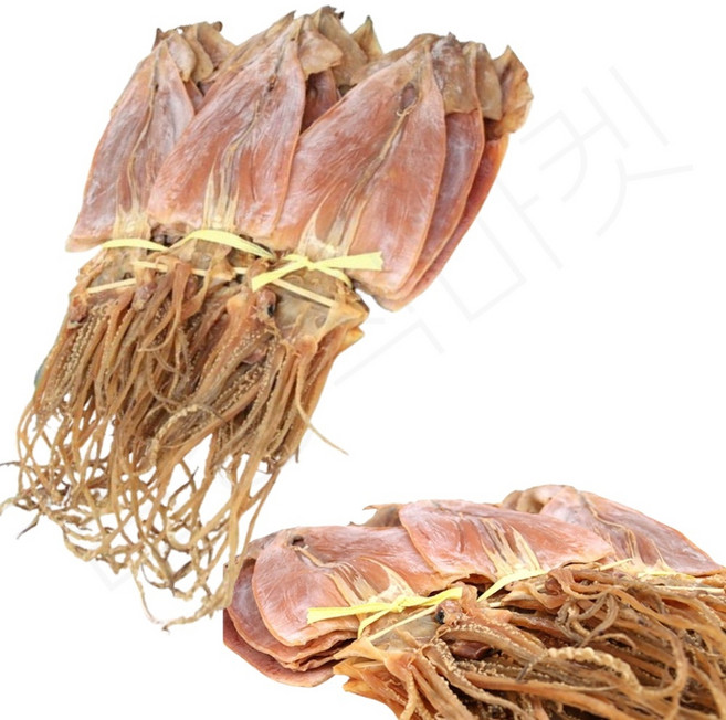 동해 오징어 건조 마른 말린 몸통 동해안 건오징어 1.7kg 국내산건오징어 국산건오징어, 1개